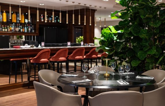 LDI_3764